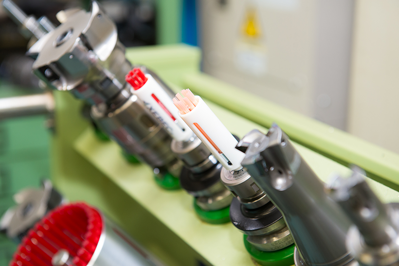 Dự cảm về những điều thú vị và kêu gọi tham vấn